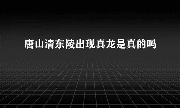 唐山清东陵出现真龙是真的吗