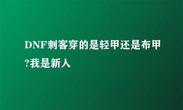 DNF刺客穿的是轻甲还是布甲?我是新人