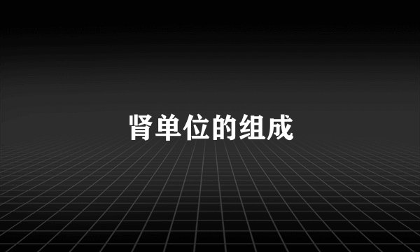 肾单位的组成