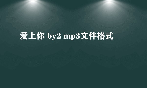 爱上你 by2 mp3文件格式