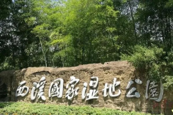 上海周边二日游有哪些路线值得推荐?