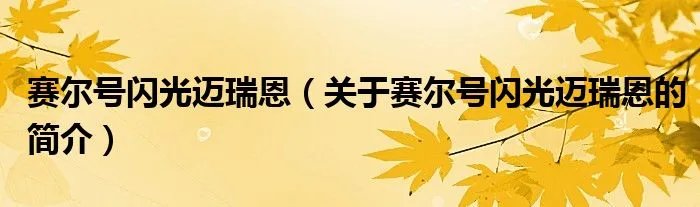 赛尔号闪光迈瑞恩（关于赛尔号闪光迈瑞恩的简介）