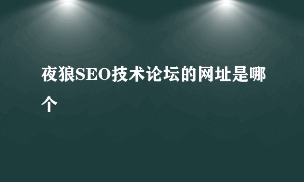 夜狼SEO技术论坛的网址是哪个