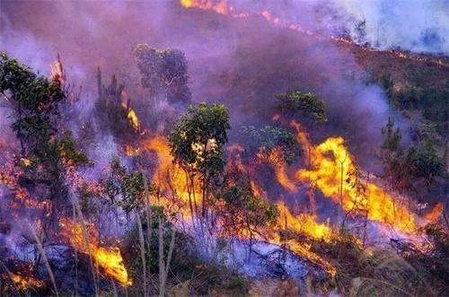 南澳大利亚爆发的山火，会给当地造成什么不好的影响？