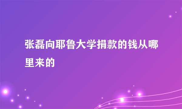 张磊向耶鲁大学捐款的钱从哪里来的