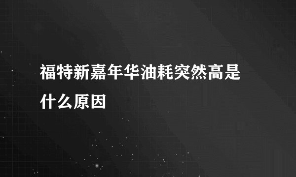 福特新嘉年华油耗突然高是 什么原因