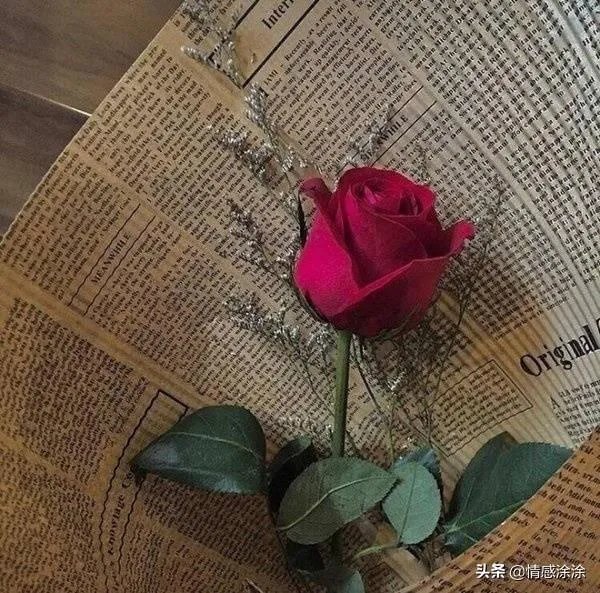 不论结婚还是交友,你觉得必要条件是什么?