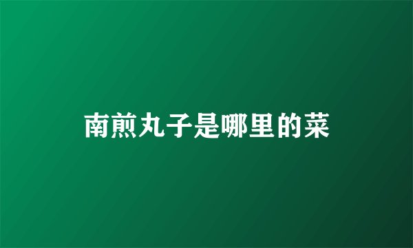 南煎丸子是哪里的菜
