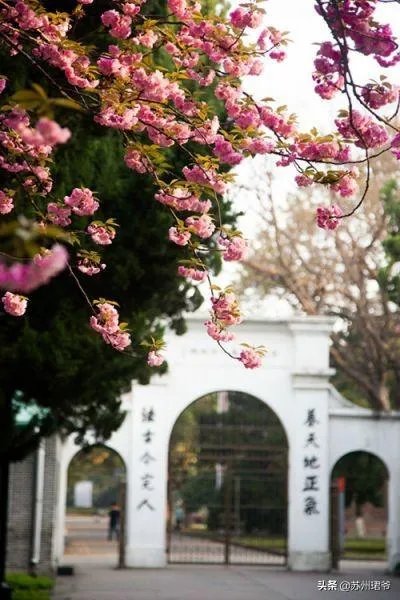 苏州大学最好的专业是哪个?