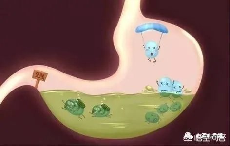 你们买益生菌的话都是买什么品牌的?