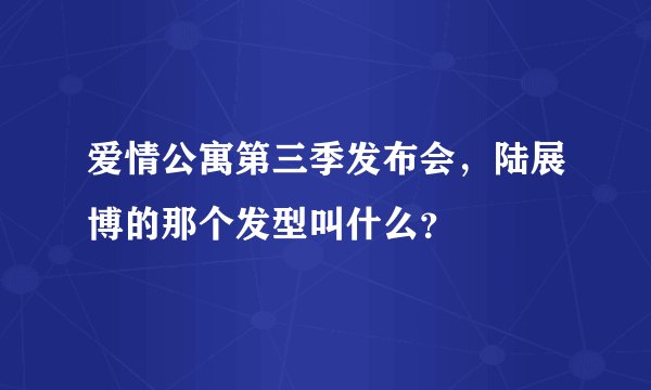 爱情公寓第三季发布会，陆展博的那个发型叫什么？