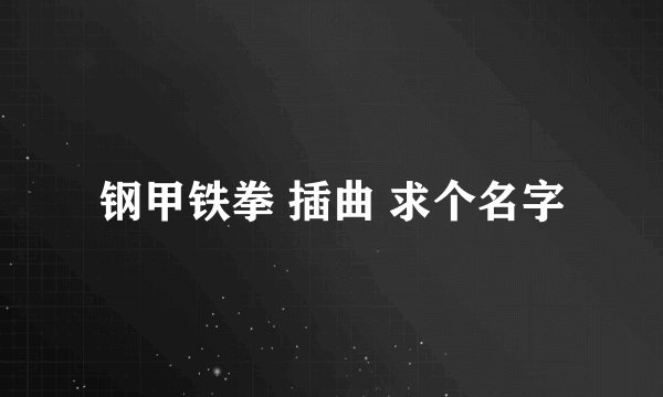 钢甲铁拳 插曲 求个名字