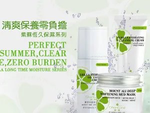 婵婷的介绍