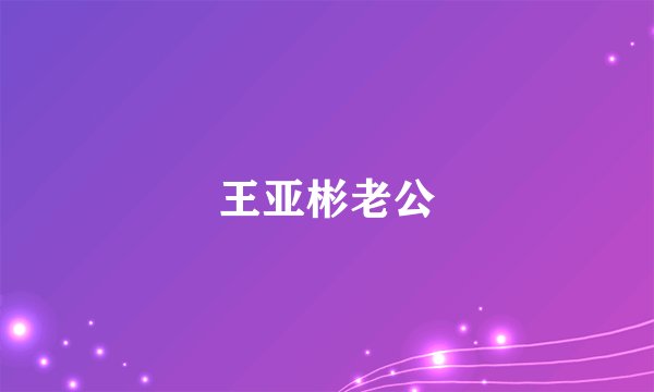 王亚彬老公