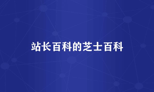 站长百科的芝士百科