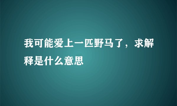 我可能爱上一匹野马了，求解释是什么意思