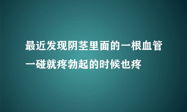 最近发现阴茎里面的一根血管一碰就疼勃起的时候也疼