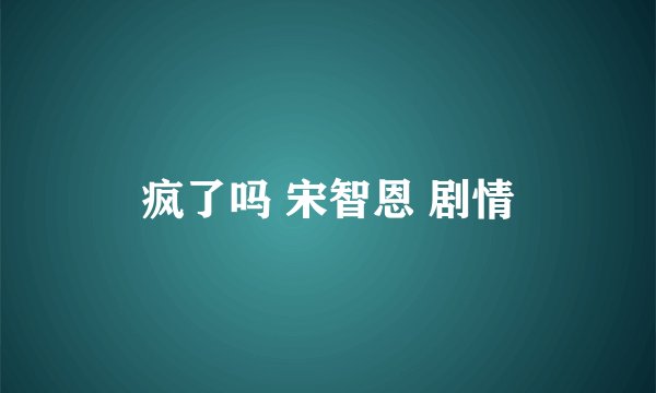 疯了吗 宋智恩 剧情