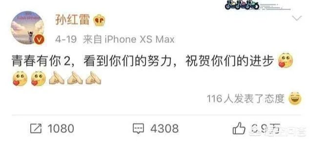 都有哪些明星在追青你2？