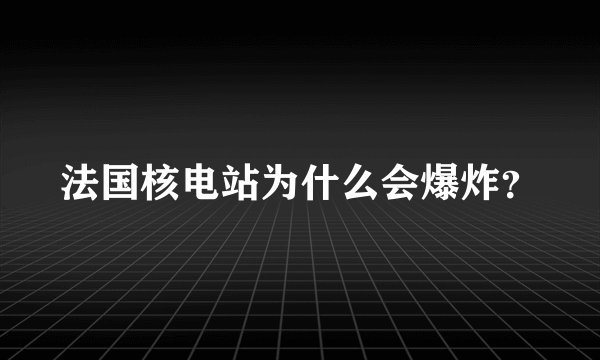 法国核电站为什么会爆炸？