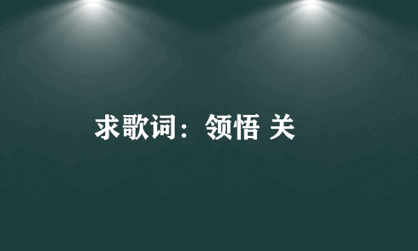 求歌词：领悟 关喆