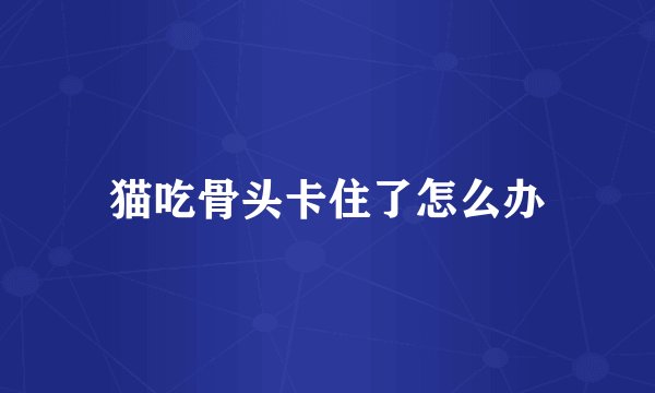 猫吃骨头卡住了怎么办