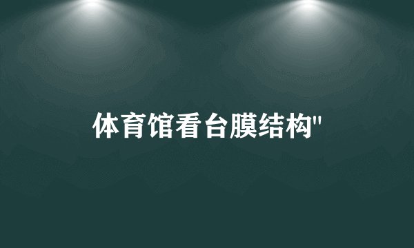 体育馆看台膜结构