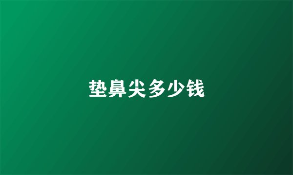 垫鼻尖多少钱