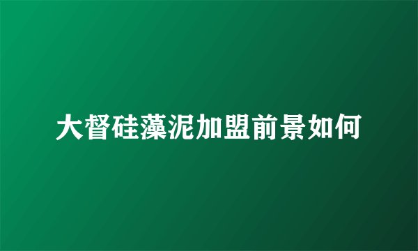 大督硅藻泥加盟前景如何