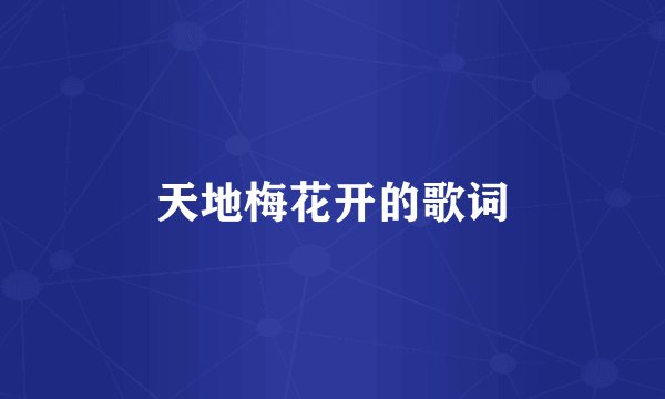 天地梅花开的歌词
