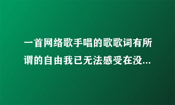 一首网络歌手唱的歌歌词有所谓的自由我已无法感受在没有理由弥补这爱情的缺口