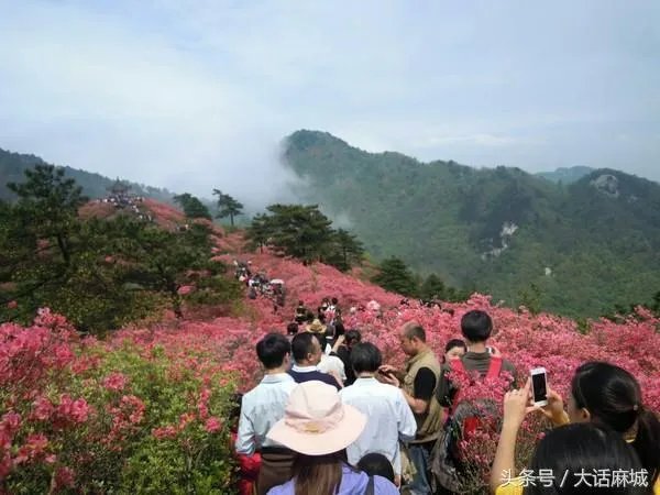 想做一个24小时自助扫码售货机,大家有什么好的建议?