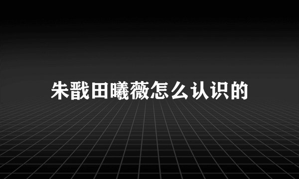朱戬田曦薇怎么认识的