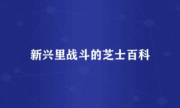 新兴里战斗的芝士百科