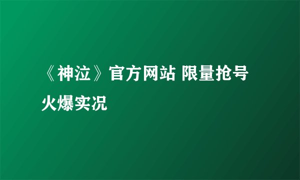 《神泣》官方网站 限量抢号火爆实况
