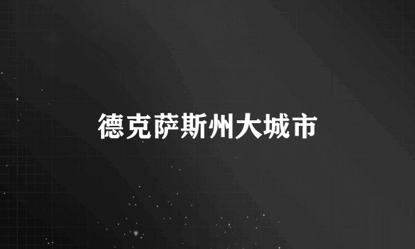 德克萨斯州大城市
