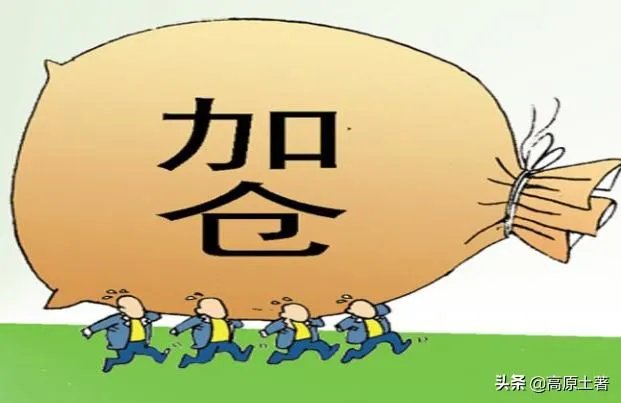 被立案的股票有希望上升吗?