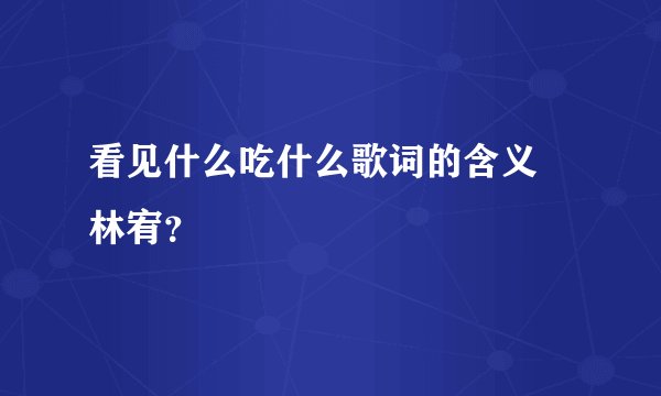 看见什么吃什么歌词的含义 林宥？