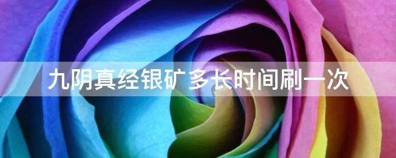 九阴真经银矿多长时间刷一次