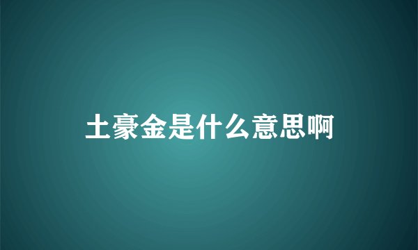 土豪金是什么意思啊