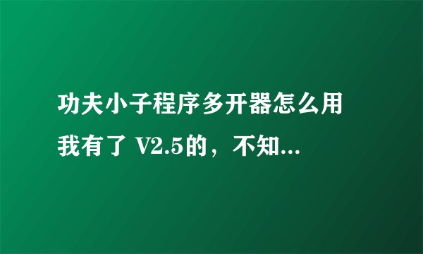 功夫小子程序多开器怎么用 我有了 V2.5的，不知怎么用..求助