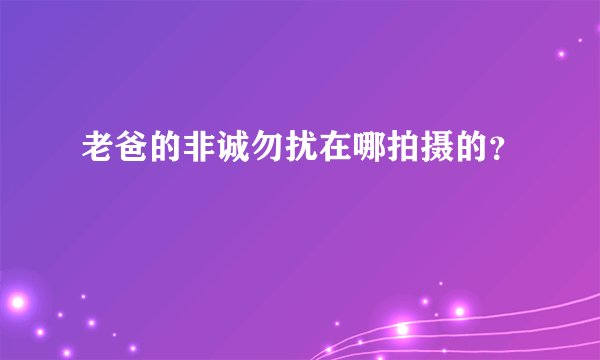 老爸的非诚勿扰在哪拍摄的？