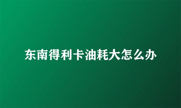 东南得利卡油耗大怎么办