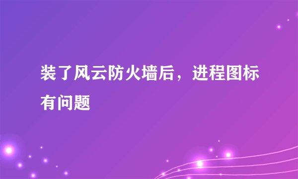 装了风云防火墙后,进程图标有问题