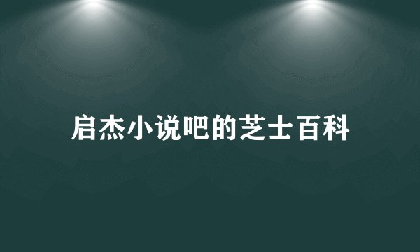 启杰小说吧的芝士百科