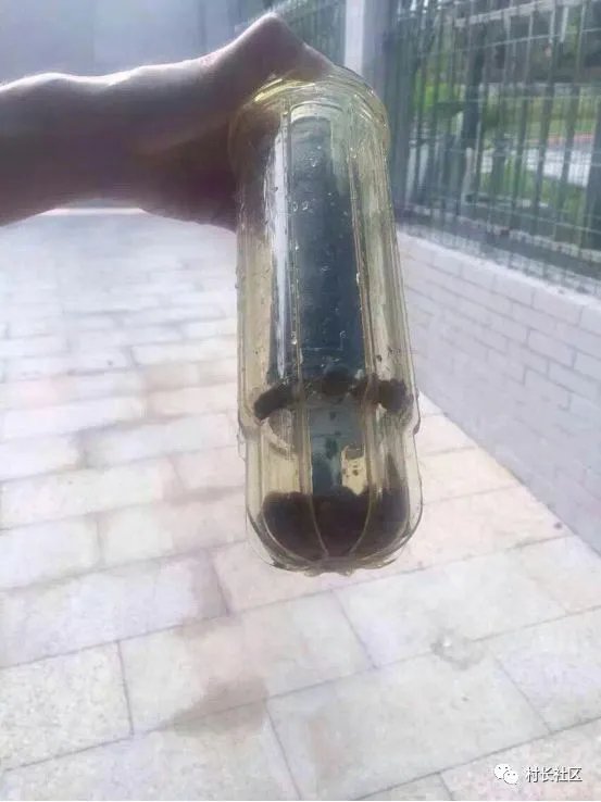 自来水不敢直接喝的举手!