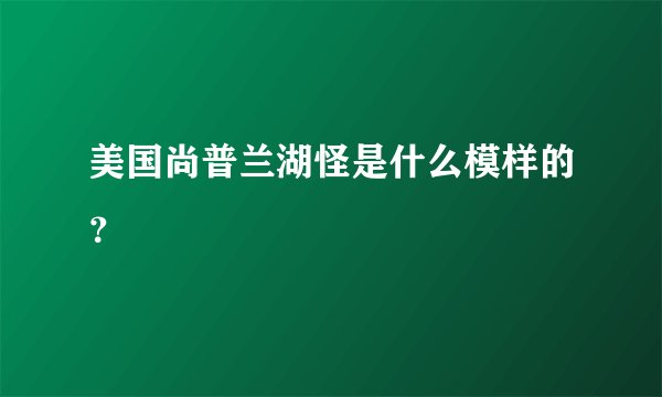 美国尚普兰湖怪是什么模样的？