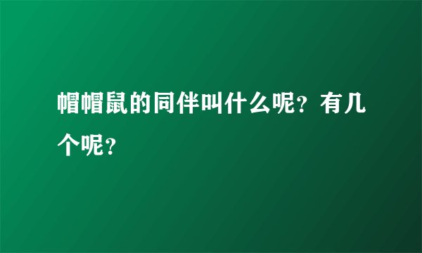 帽帽鼠的同伴叫什么呢?有几个呢?