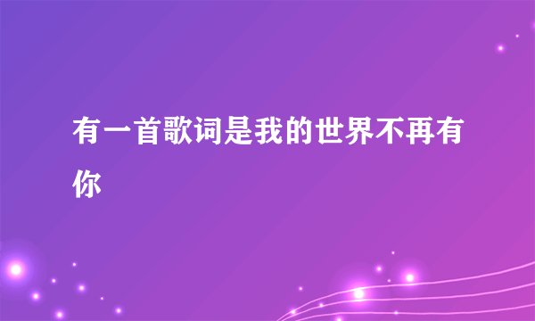 有一首歌词是我的世界不再有你