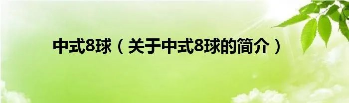 中式8球（关于中式8球的简介）